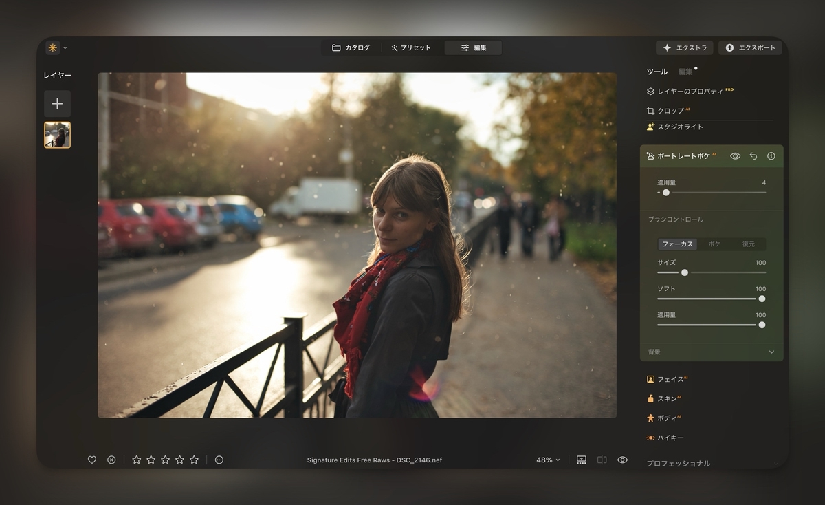 Luminar Neoの編集画面