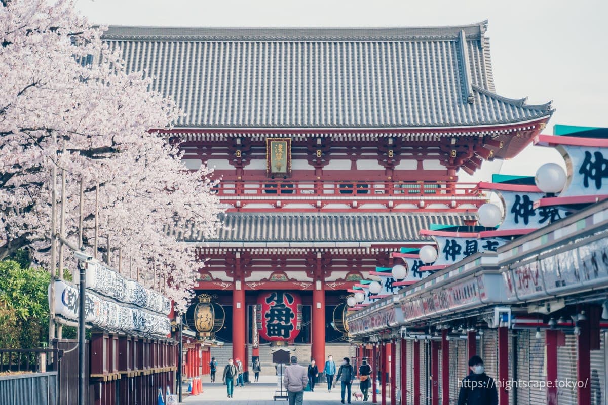 仲见世通与盛开的樱花