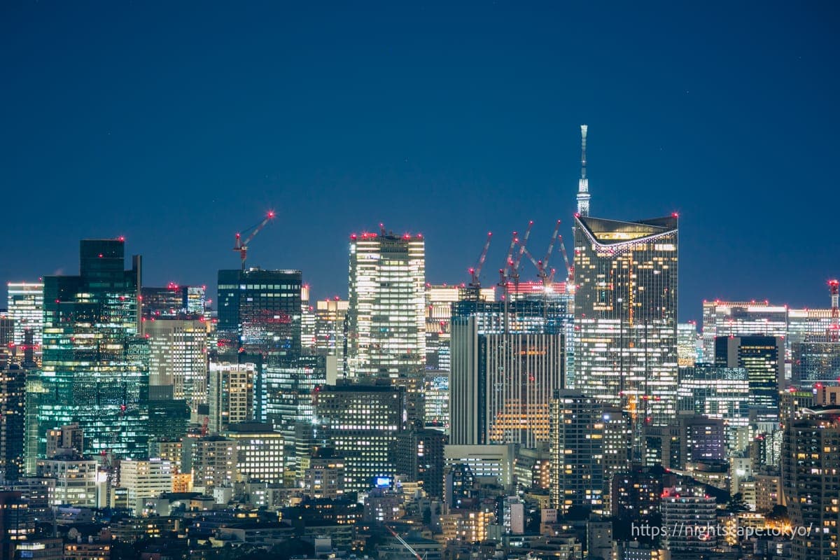 灯光闪耀的东京晴空塔