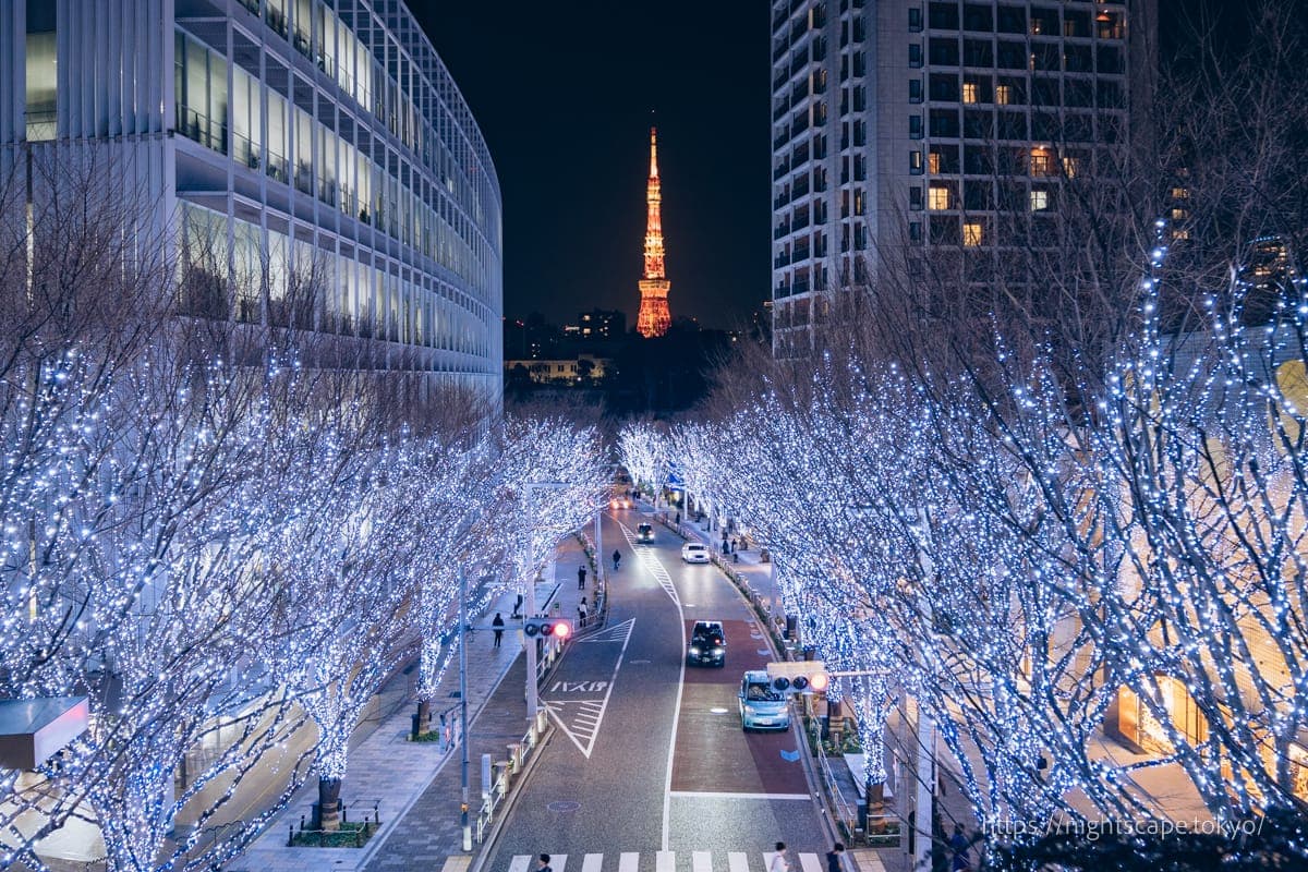 六本木榉树坂大街灯饰の夜景