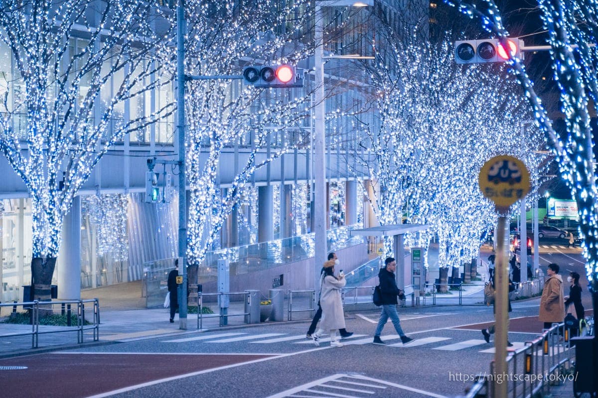 人们穿行在六本木榉树坂大道的灯饰间