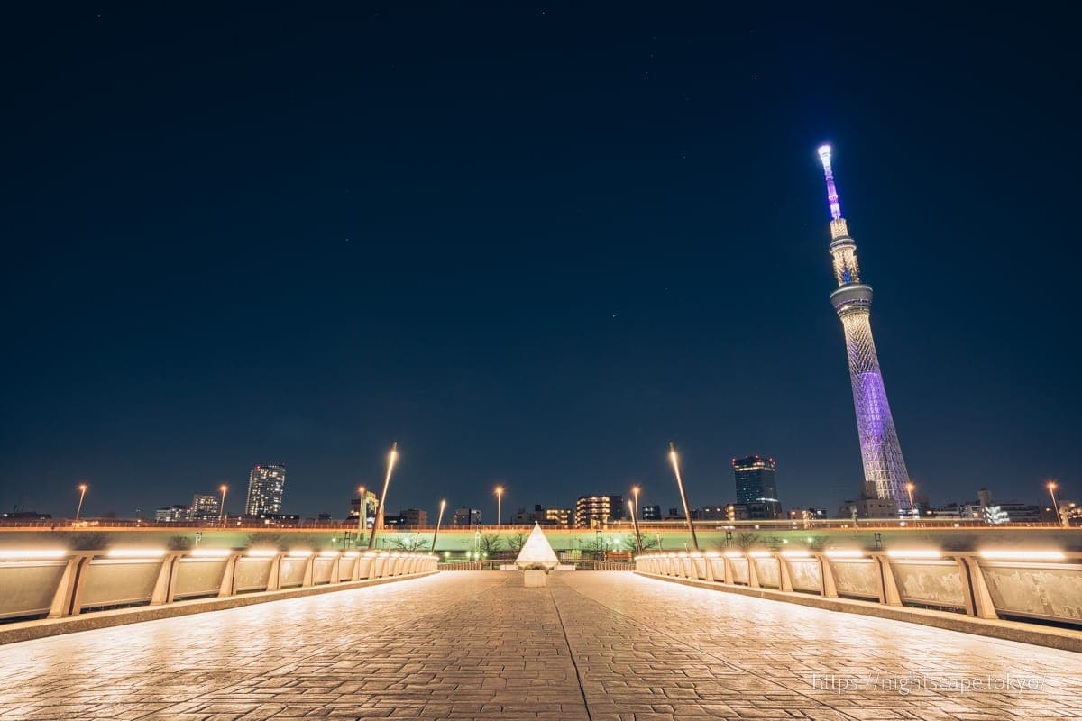 具有字母X形状特征的樱桥