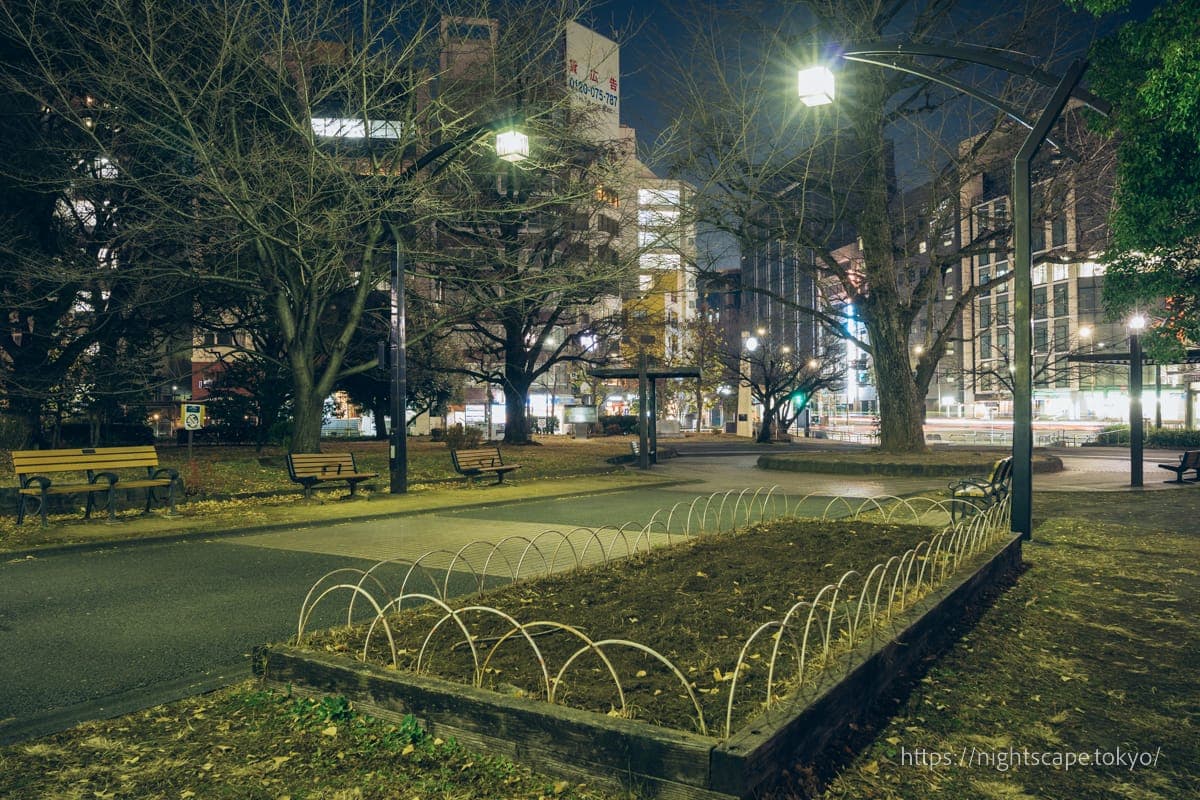 芝公园4号地的氛围