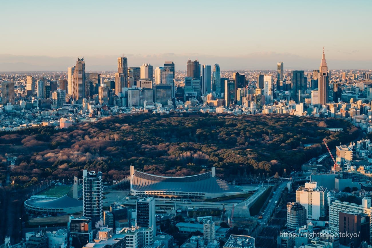 新宿地区摩天楼和新宿御苑的夕景