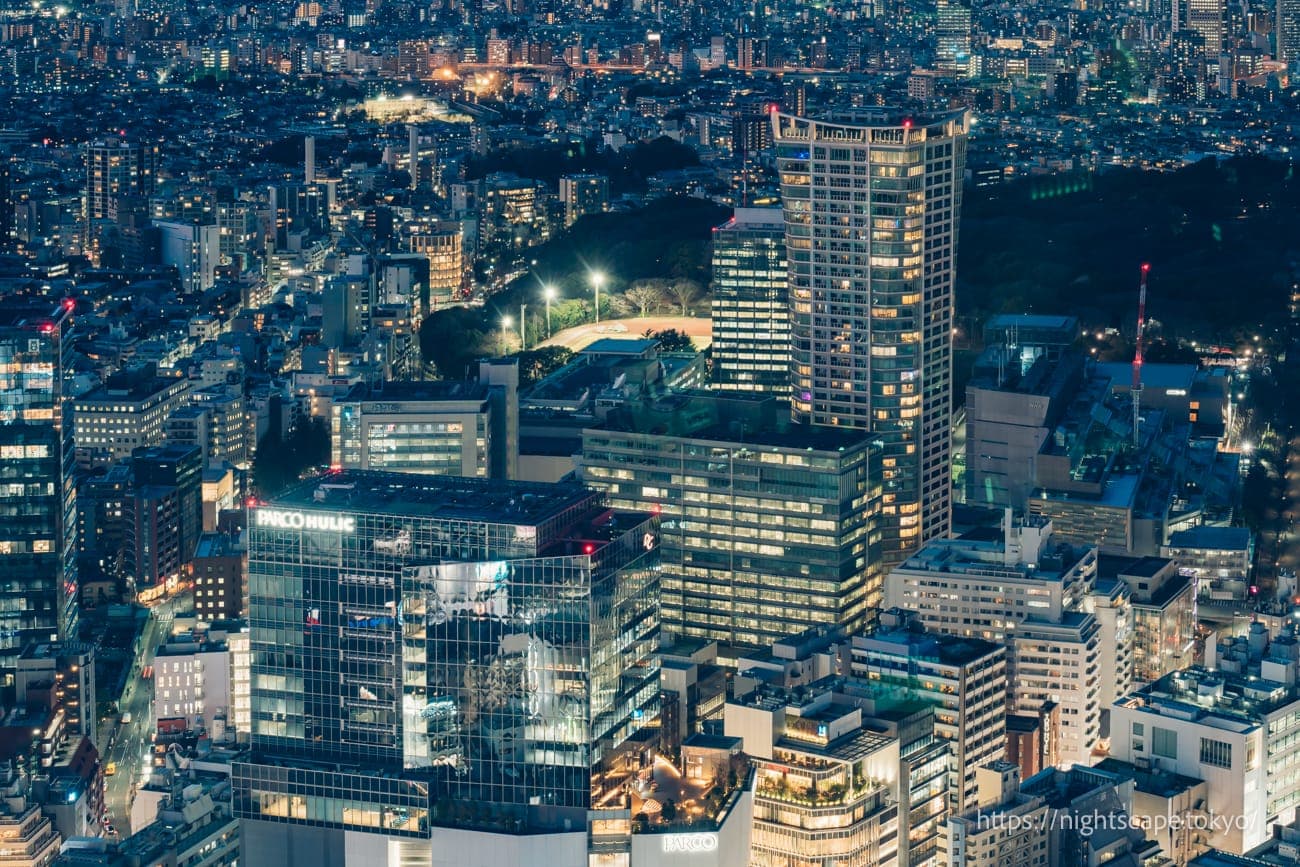 公园法院涩谷大厦和涩谷区政府