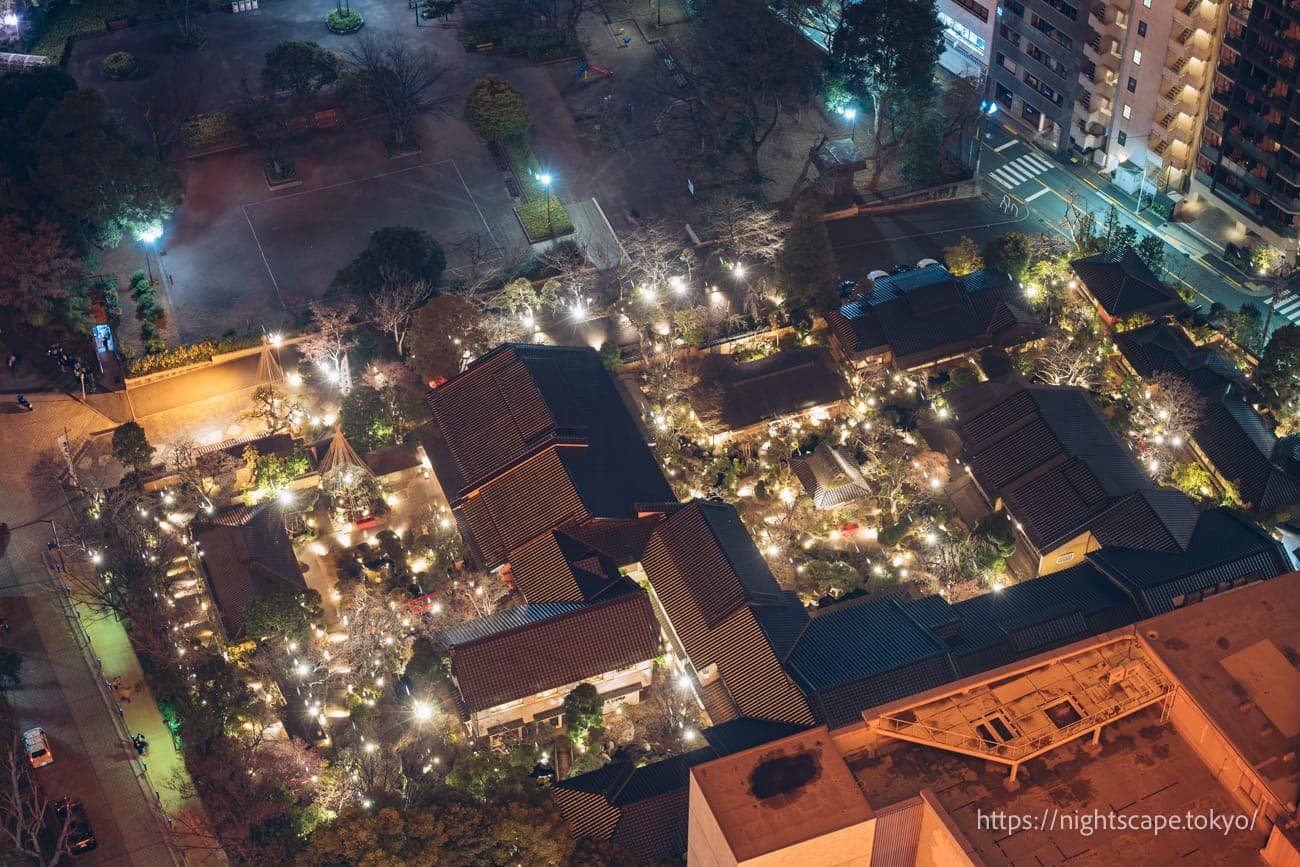 芝公园19号地（红叶谷区域）夜景