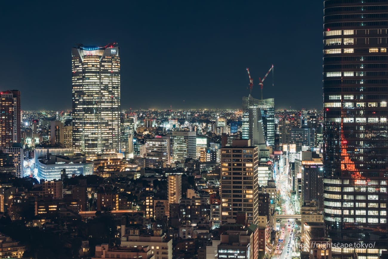 六本木新城和外苑东通夜景