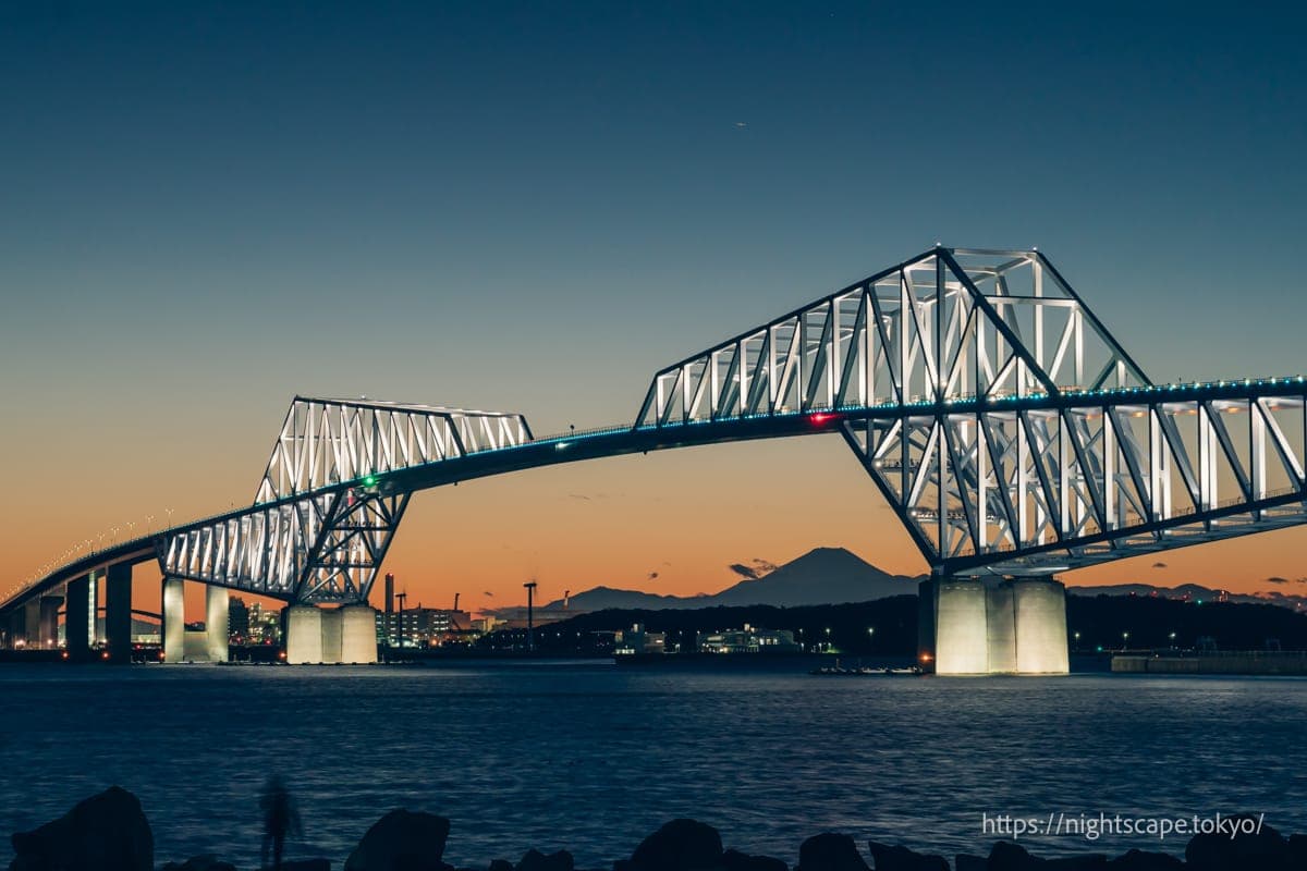 灯光照耀的恐龙桥