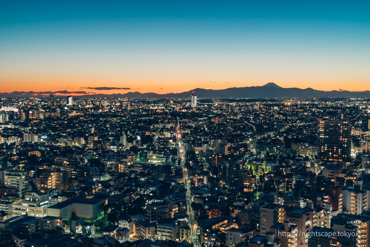 从胡萝卜塔展望台眺望的夜景