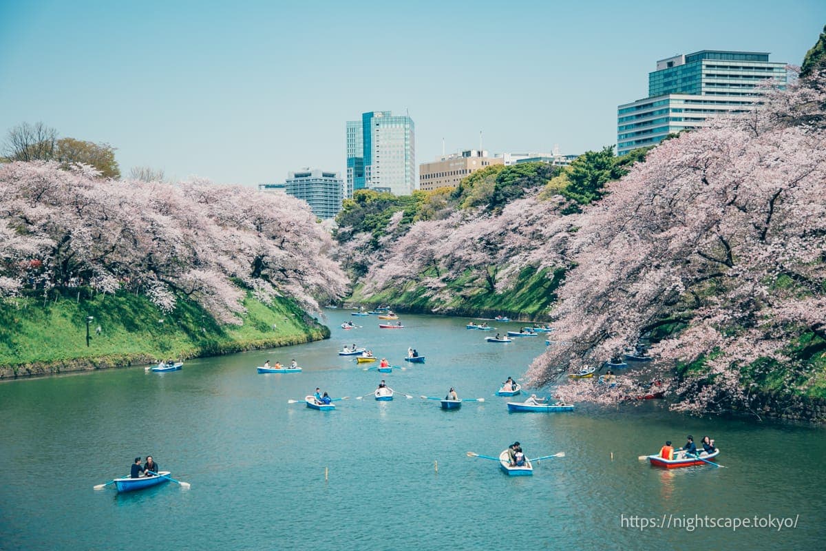 从千鸟之渊划船场附近拍摄的光景