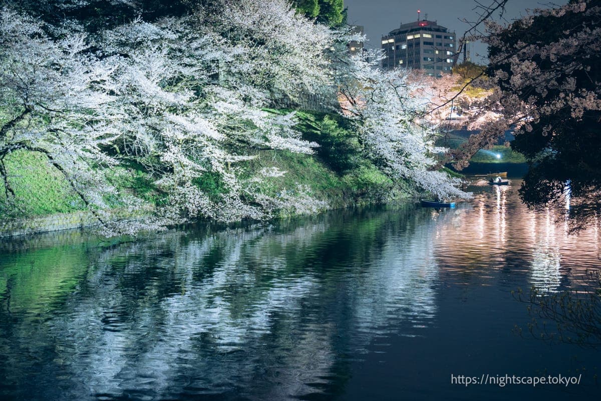 护城河水面倒映着樱花灯光的景象