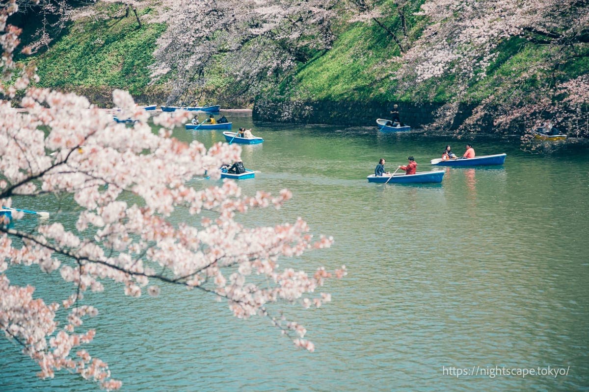 千鸟之渊绿道 千代田樱花节的景象