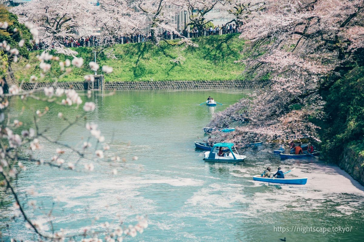乘船欣赏夜樱灯光秀的人们