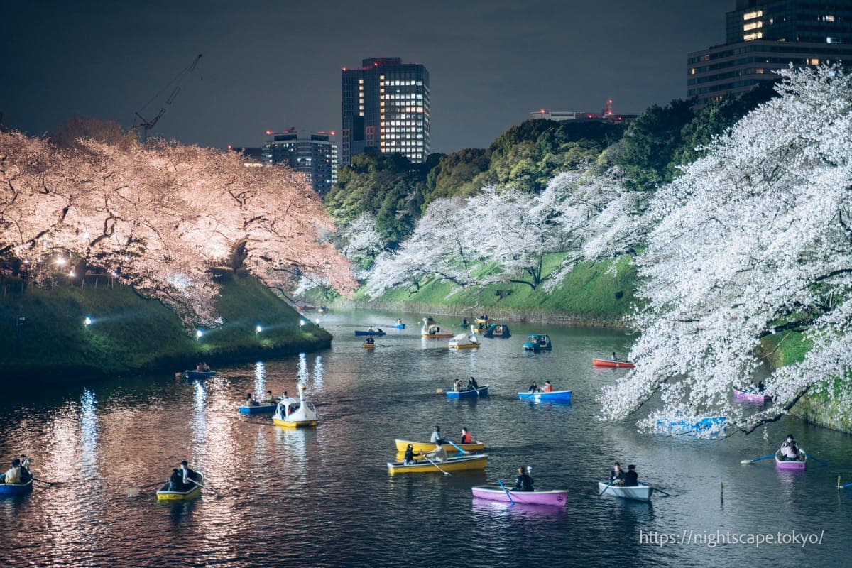 千鸟之渊绿道 千代田樱花节的景象