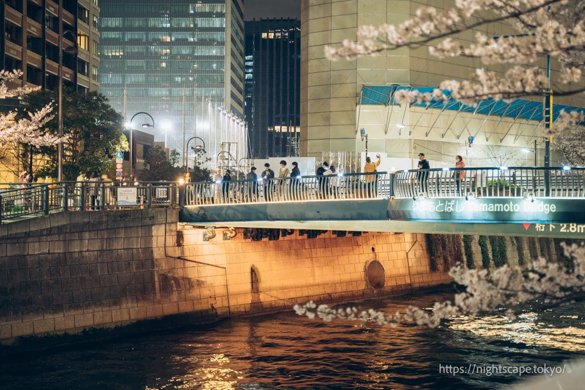 目黑川与山本桥