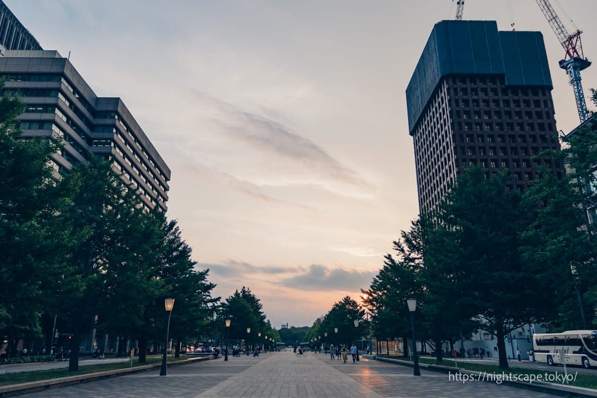 从行幸通眺望夕阳