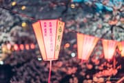 Paper lanterns at Nakameguro Cherry Blossom Festival