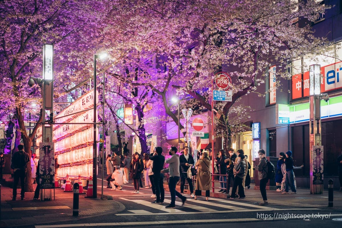 涩谷樱丘樱花坡的入口
