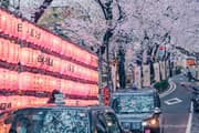 Taxis passing along Sakura Street