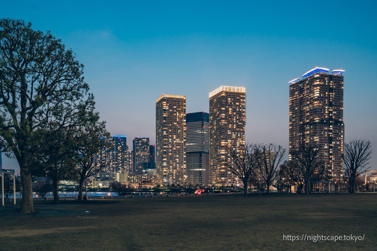 丰洲公园的夜景