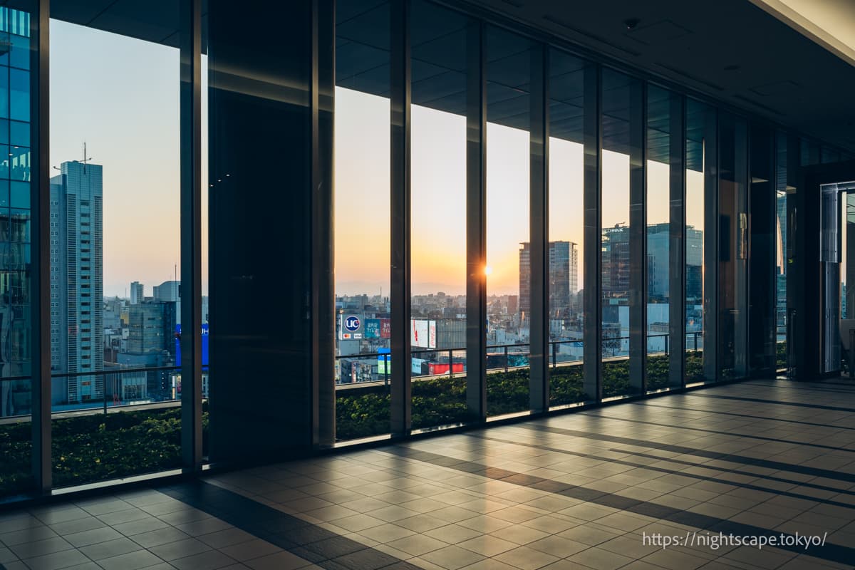 光之屋11F Sky Lobby内部氛围