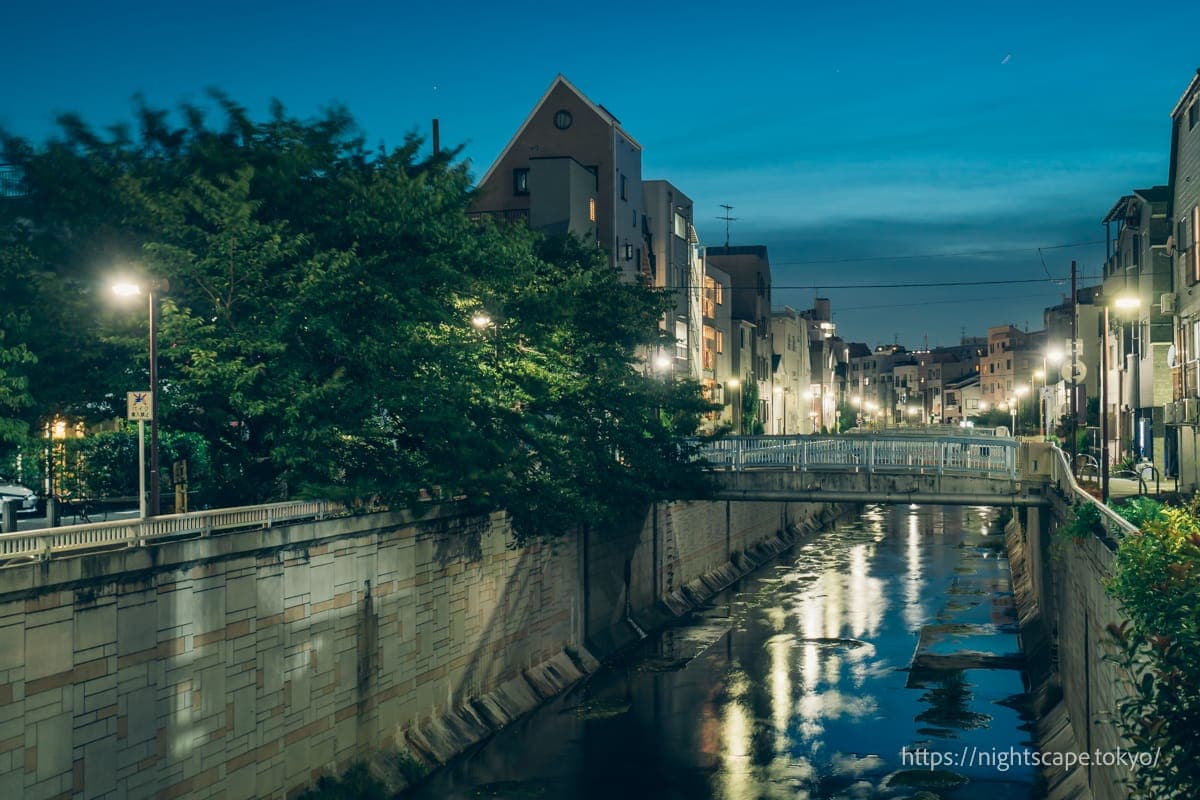 中之桥周边绿意盎然的街景