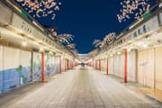 仲見世通りのシャッターに描かれた「浅草絵巻」