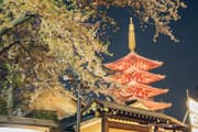 ライトアップされた五重塔