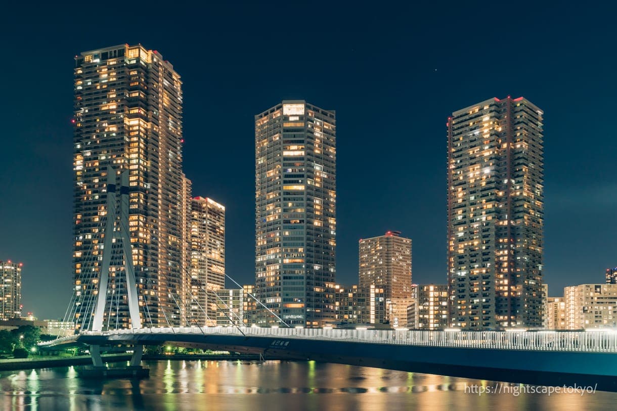 辰巳樱桥&东云水边公园的夜景