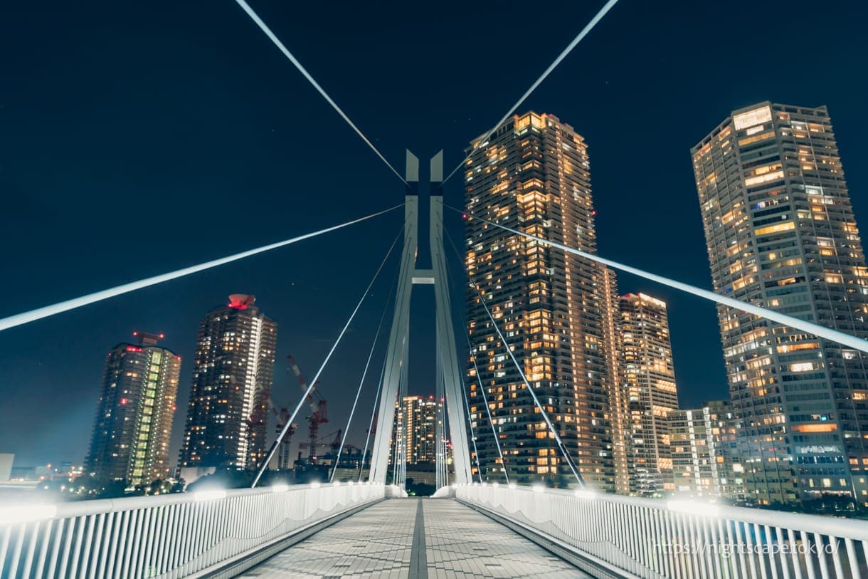 架设了斜拉桥的辰巳樱桥