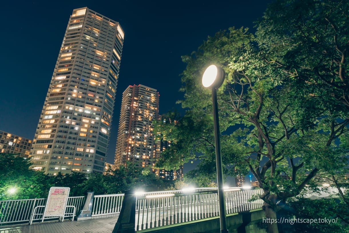 从东云水边公园眺望辰巳樱桥