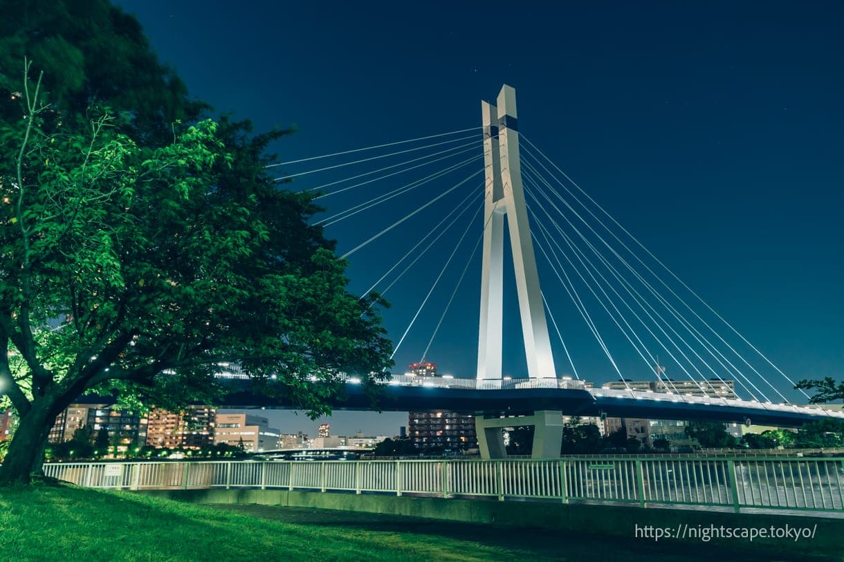 从东云水边公园眺望辰巳樱桥