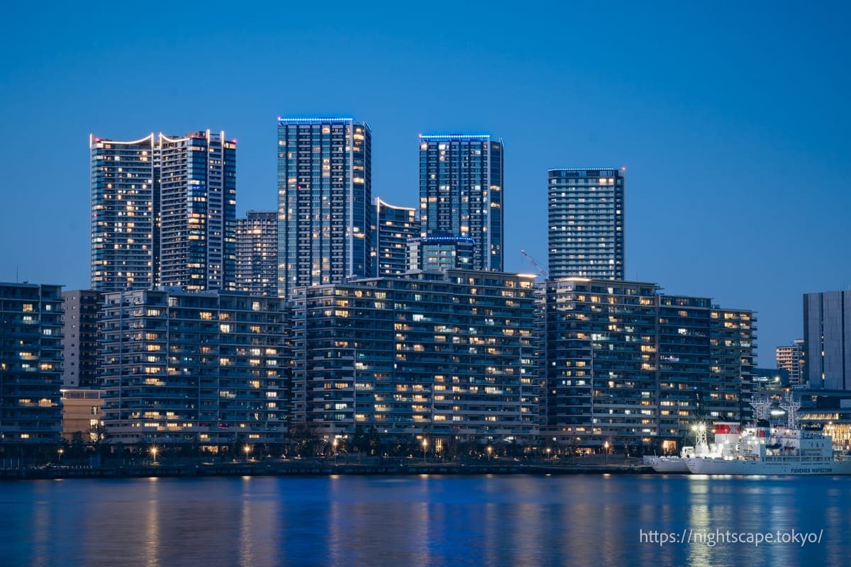 晴海地区的塔楼公寓群