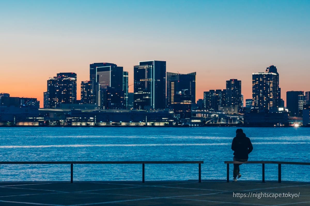 黄昏时分丰洲环绕公园的氛围②