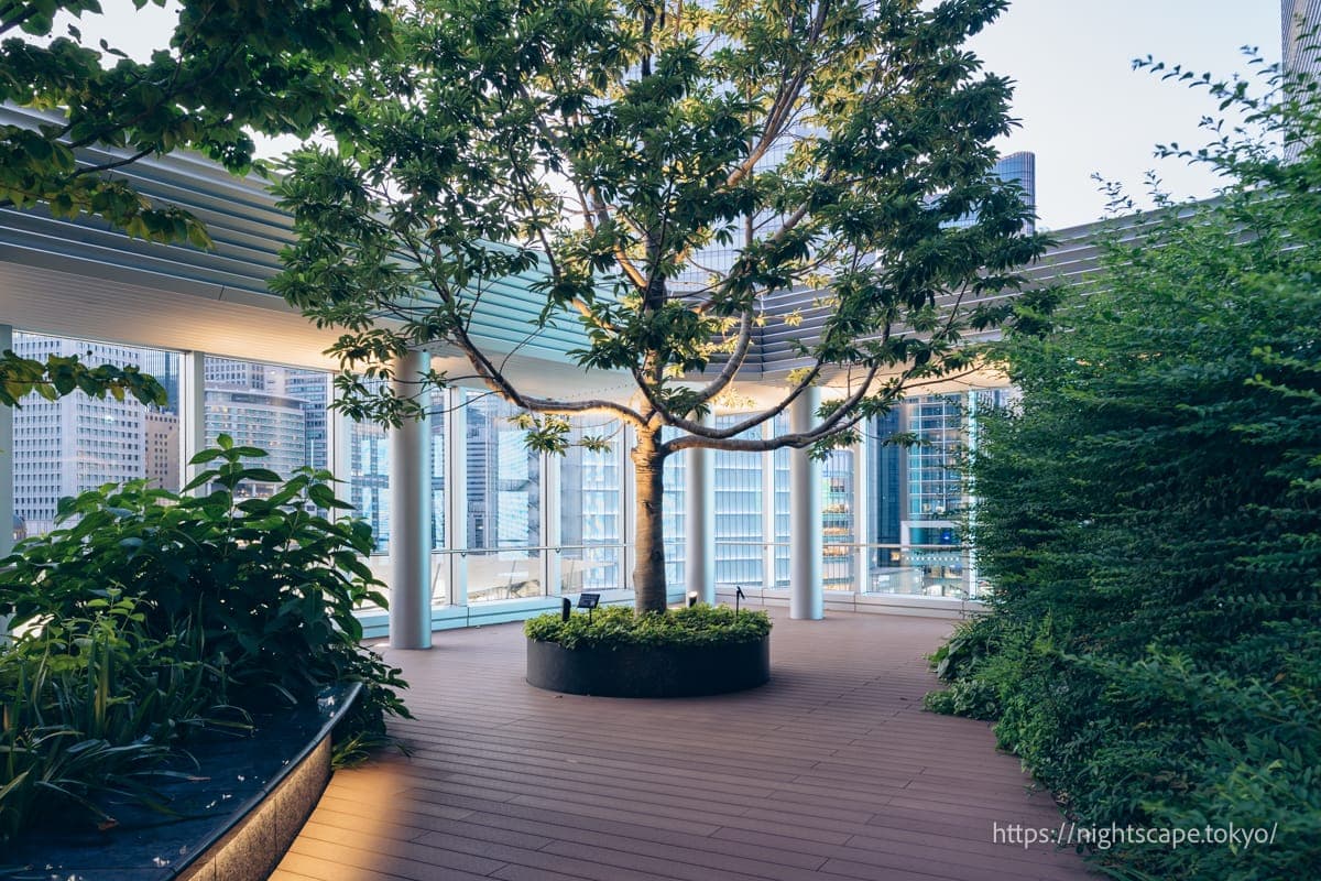 绿意盎然的八重洲露台