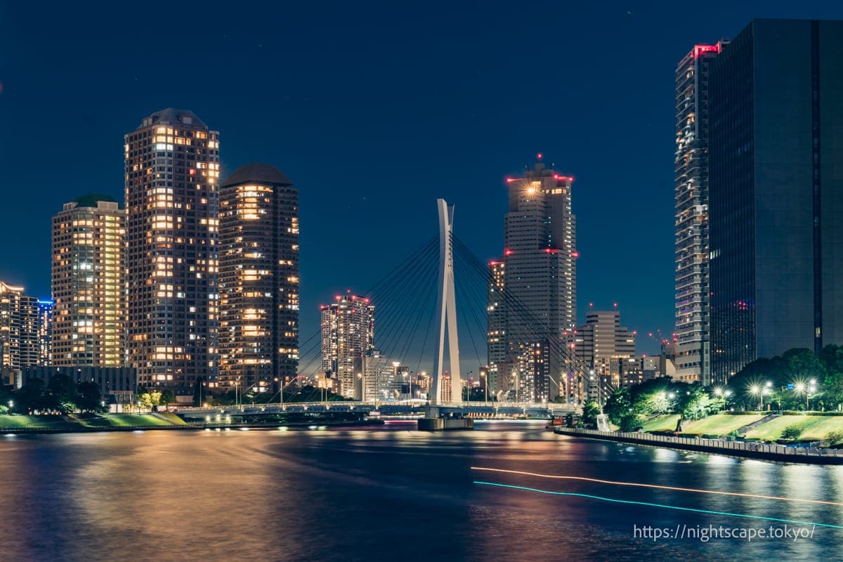 月岛方向的高层建筑群与中央大桥