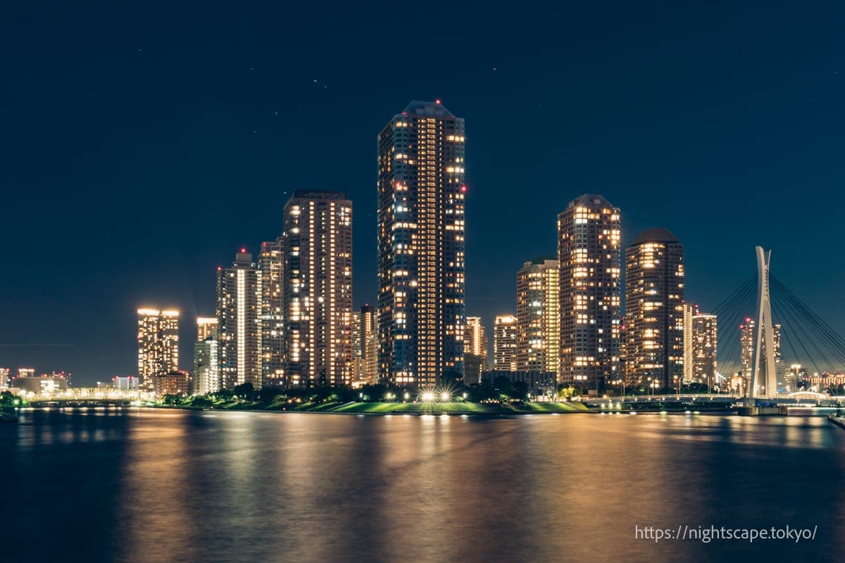 从永代桥眺望大型公寓群河城21