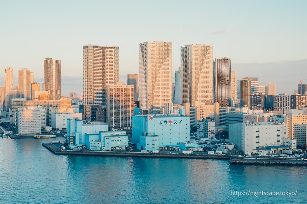 晴海方向的塔式公寓群