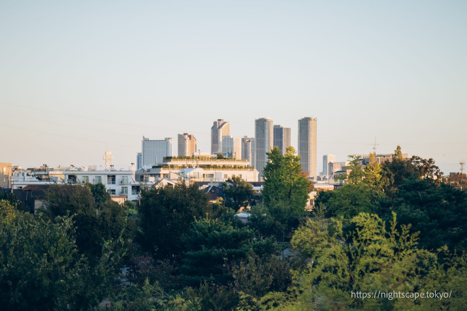 武蔵小杉站周边高层公寓群