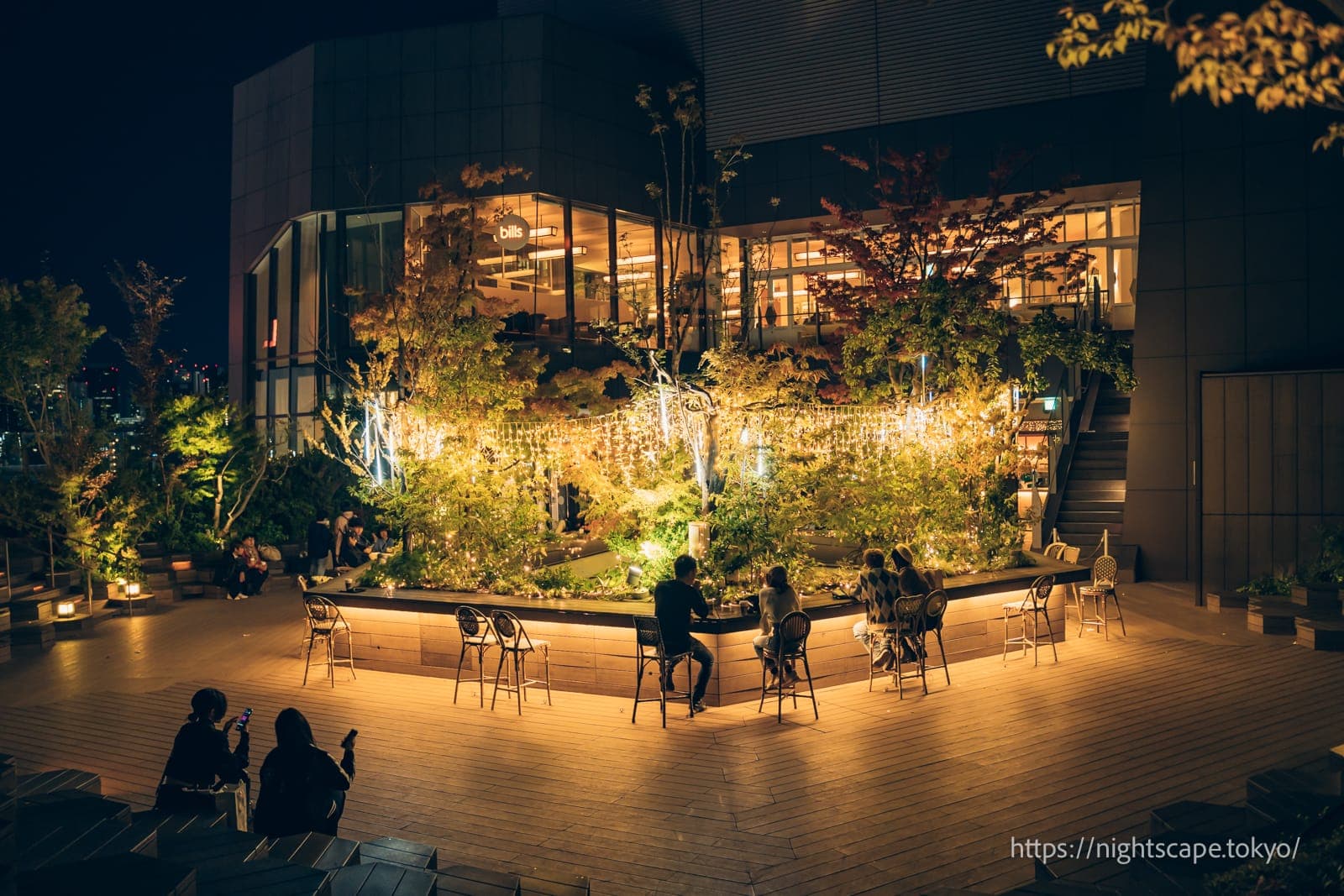 表参道之森的氛围