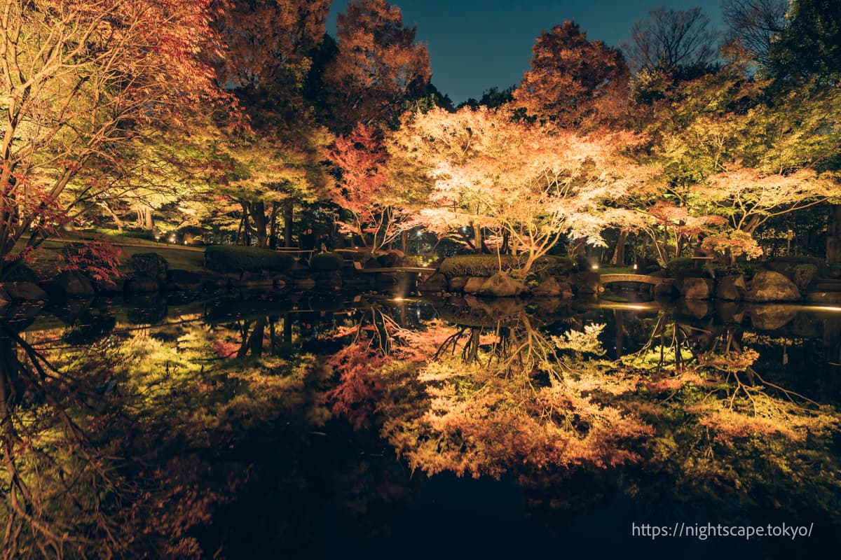 红叶灯光倒映在水面上形成清晰倒影