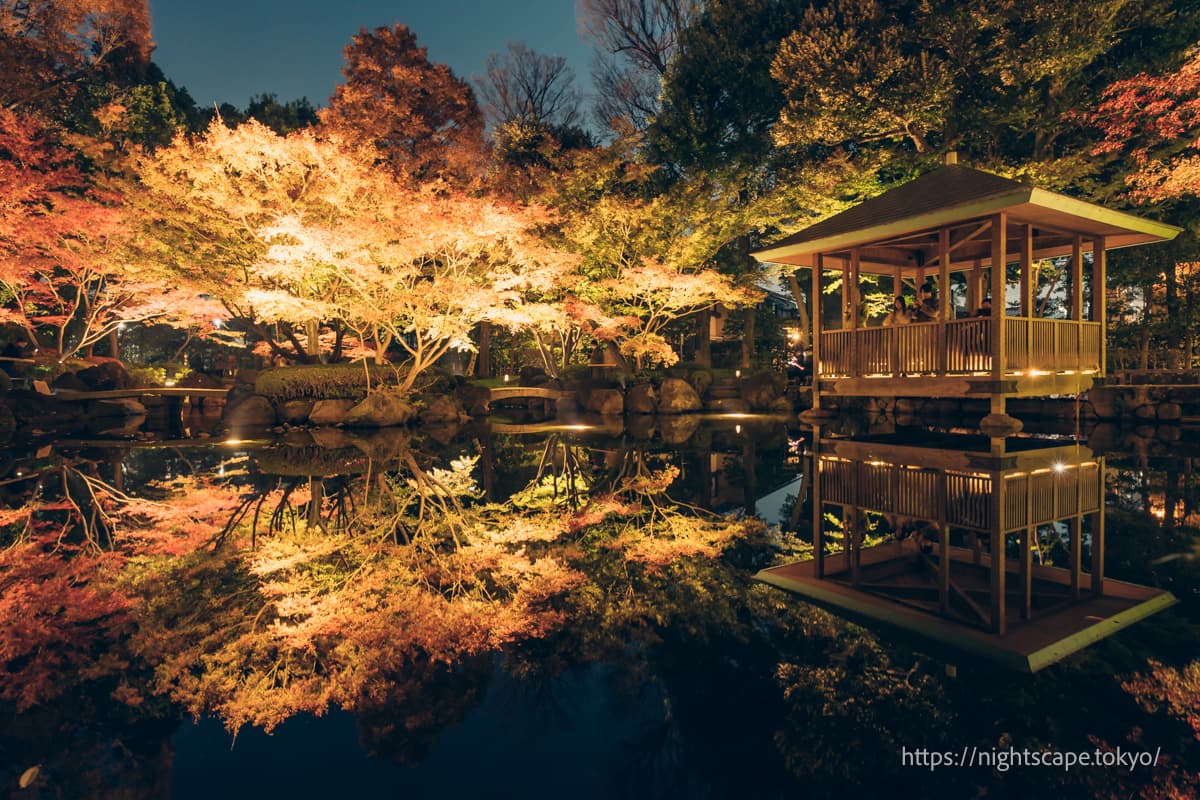 大田黑公园の夜景