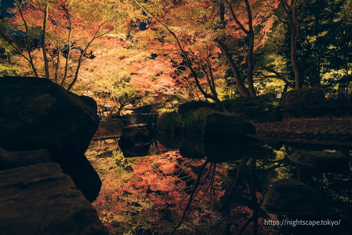 红叶灯光倒映在水面上形成清晰倒影