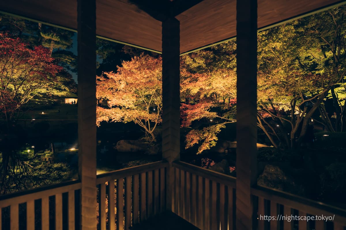 从凉亭眺望红叶