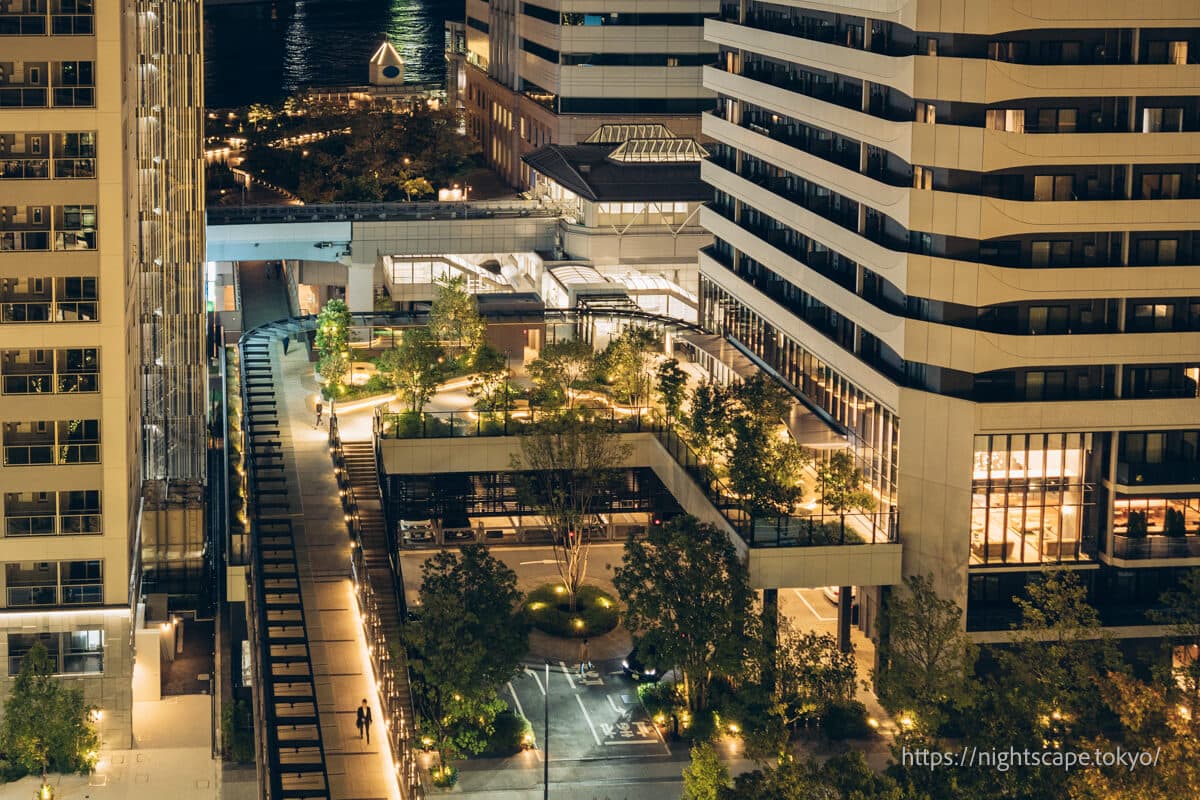 百合海鸥线「竹芝站」周边的夜景