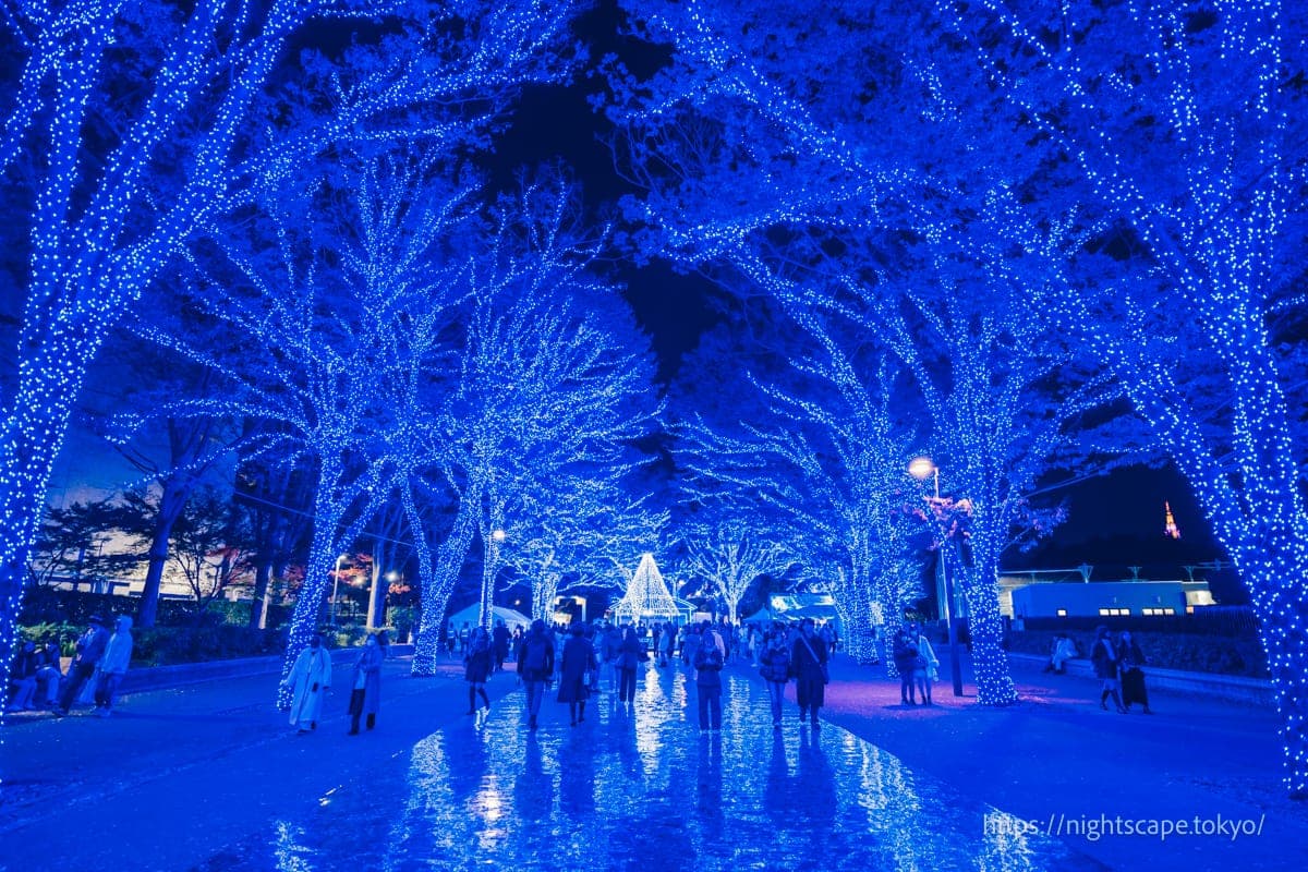 蓝洞涩谷 2025の夜景