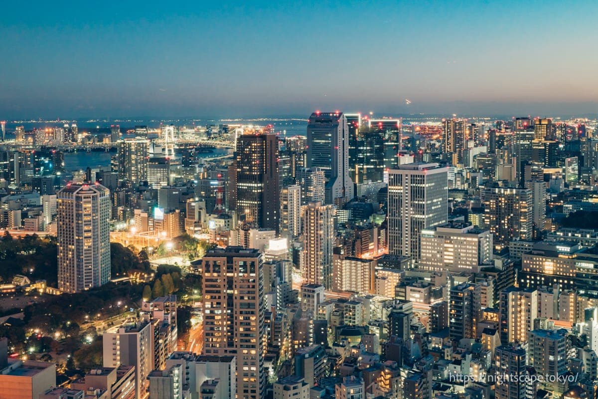 夜間點燈的彩虹大橋與汐留區高樓群