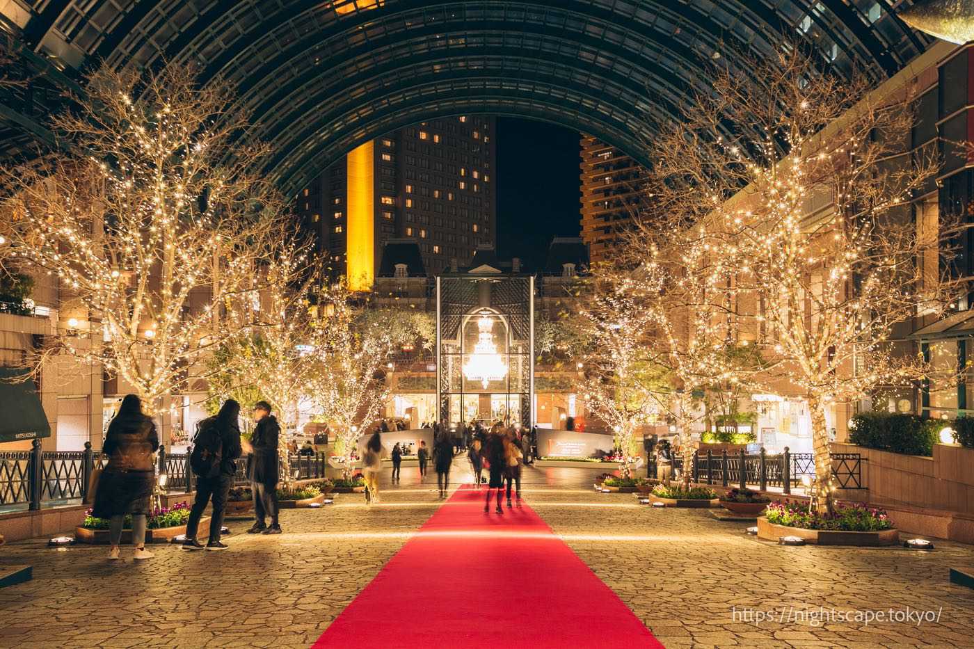 惠比寿花园广场彩灯展2025の夜景