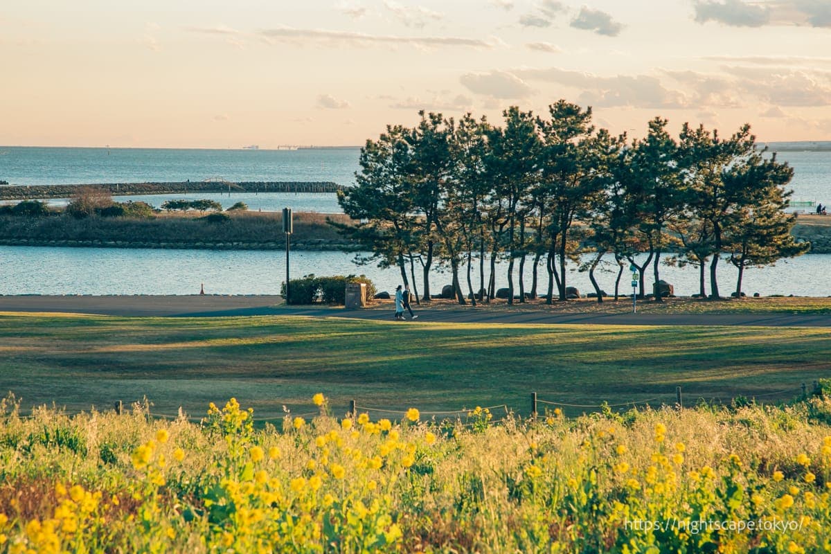 葛西临海公园展望广场