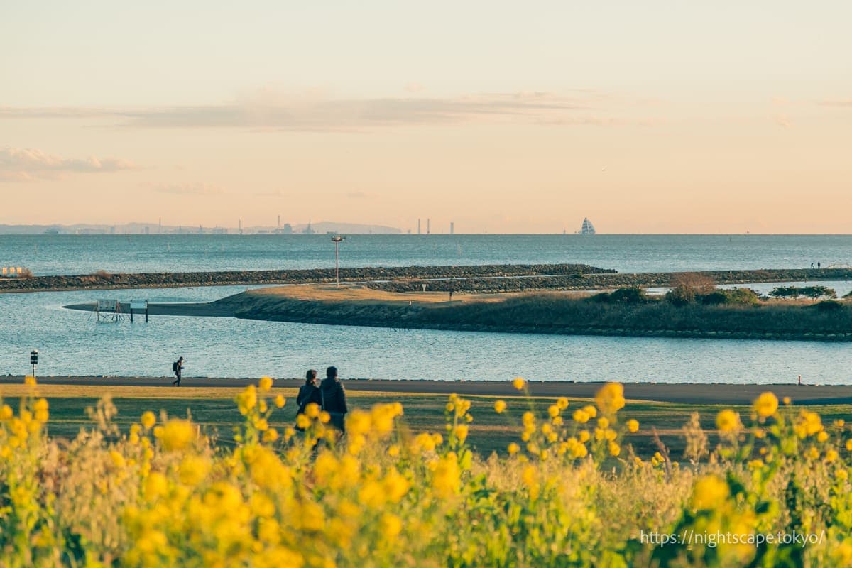 葛西临海公园展望广场